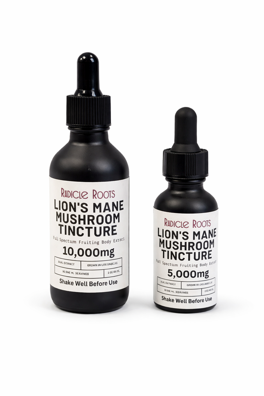 Lion's Mane Mushroom Tincture